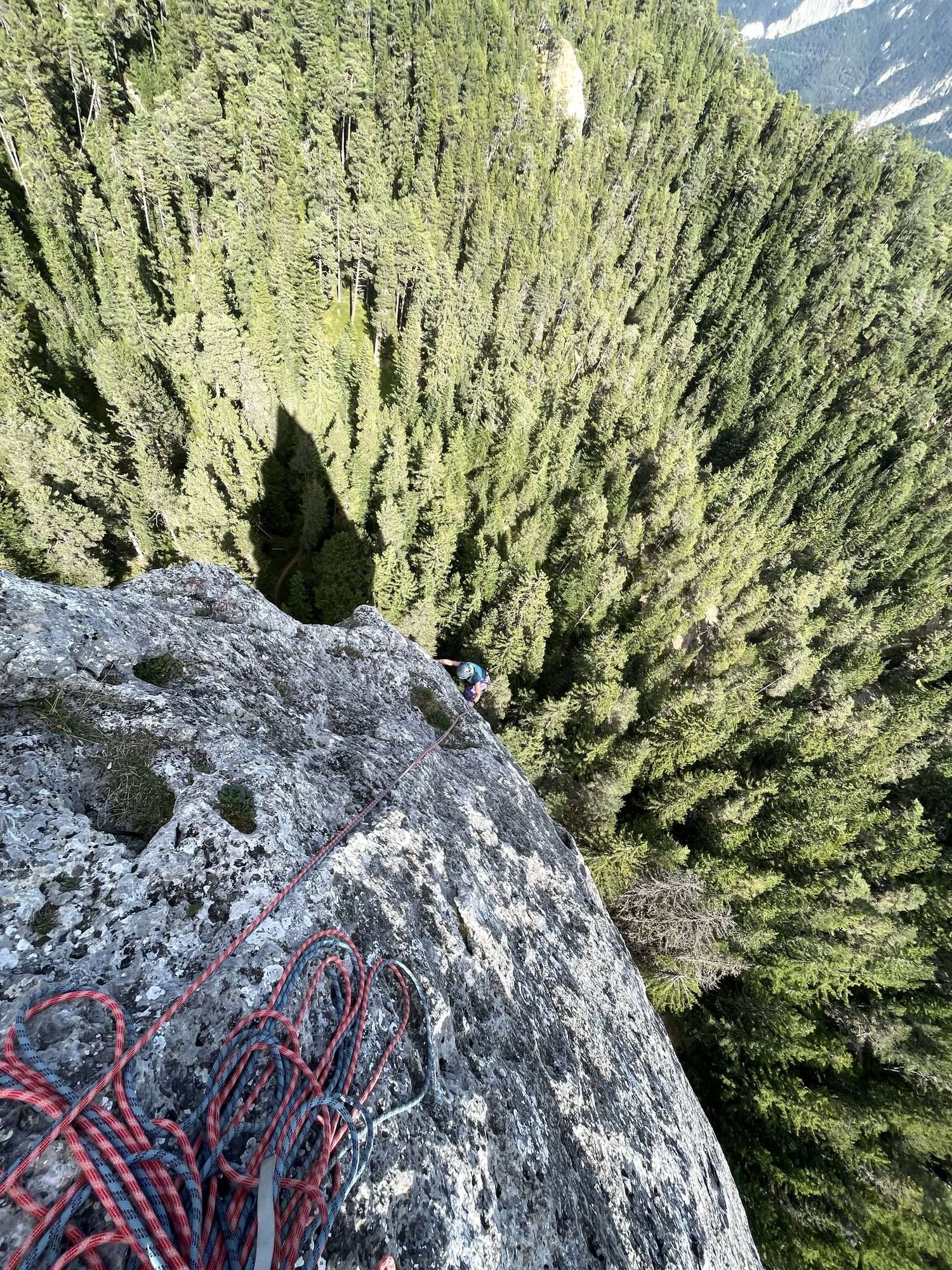 Grimpeuse en second, forêt de sapins en contrebas
