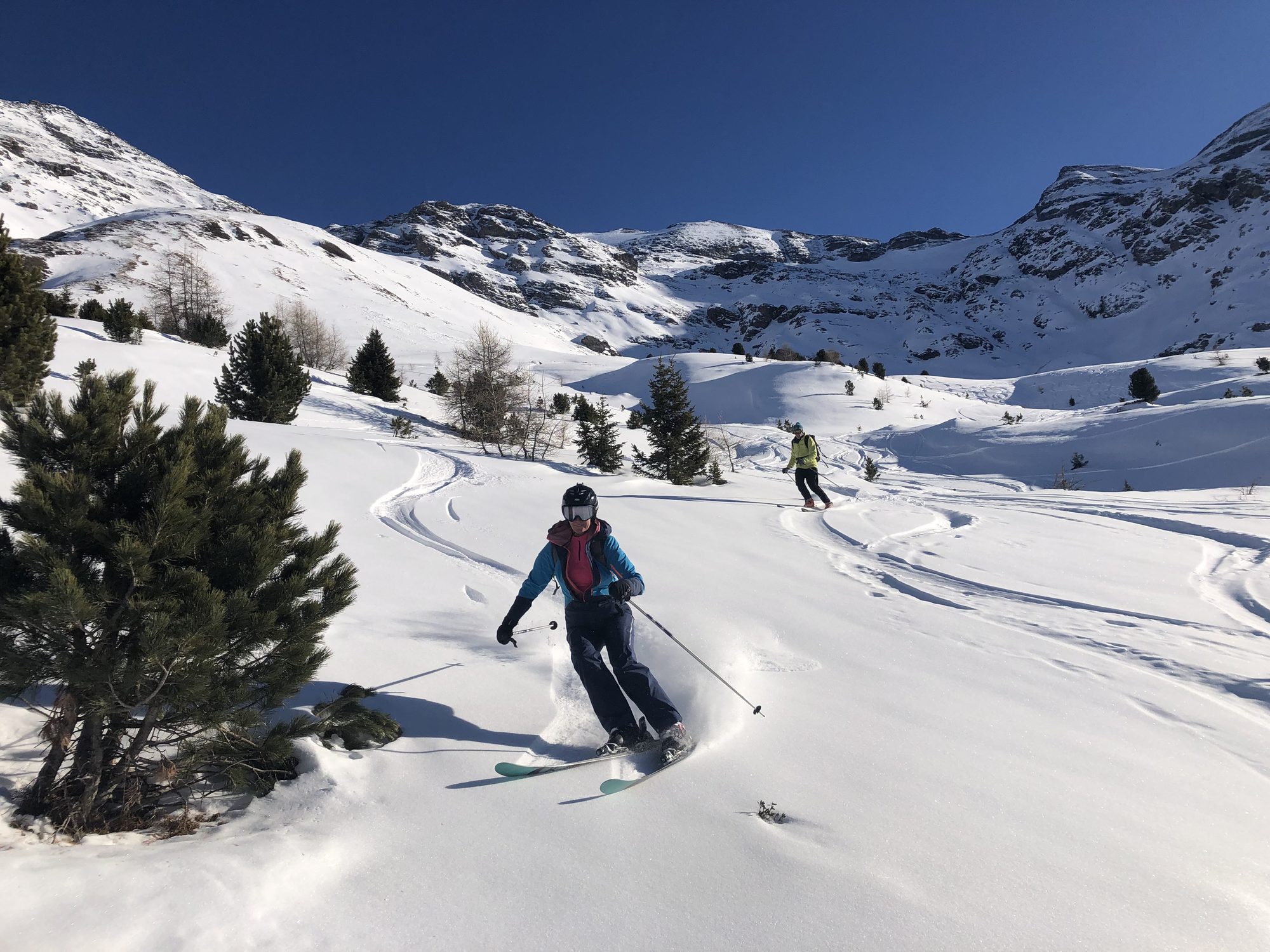 Skieurs enchaînant les virages entre les mélèzes